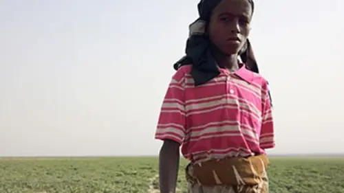 Chemins d'école, chemins de tous les dangers L'Ethiopie