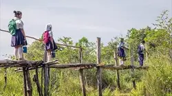 Visuel de Chemins d'école, chemins de tous les dangers