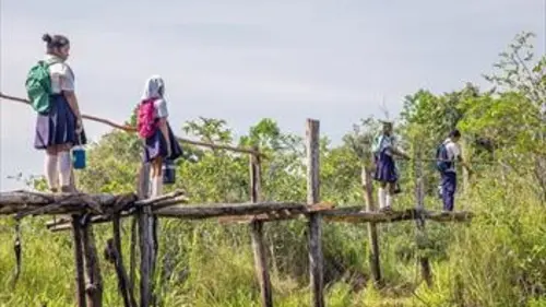 Casting Chemins d'école, chemins de tous les dangers S03E03 Colombie