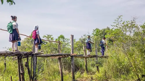 Chemins d'école, chemins de tous les dangers