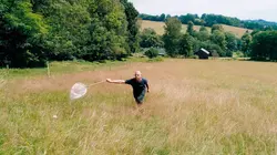 Chemins de traverse La Haute-Lusace