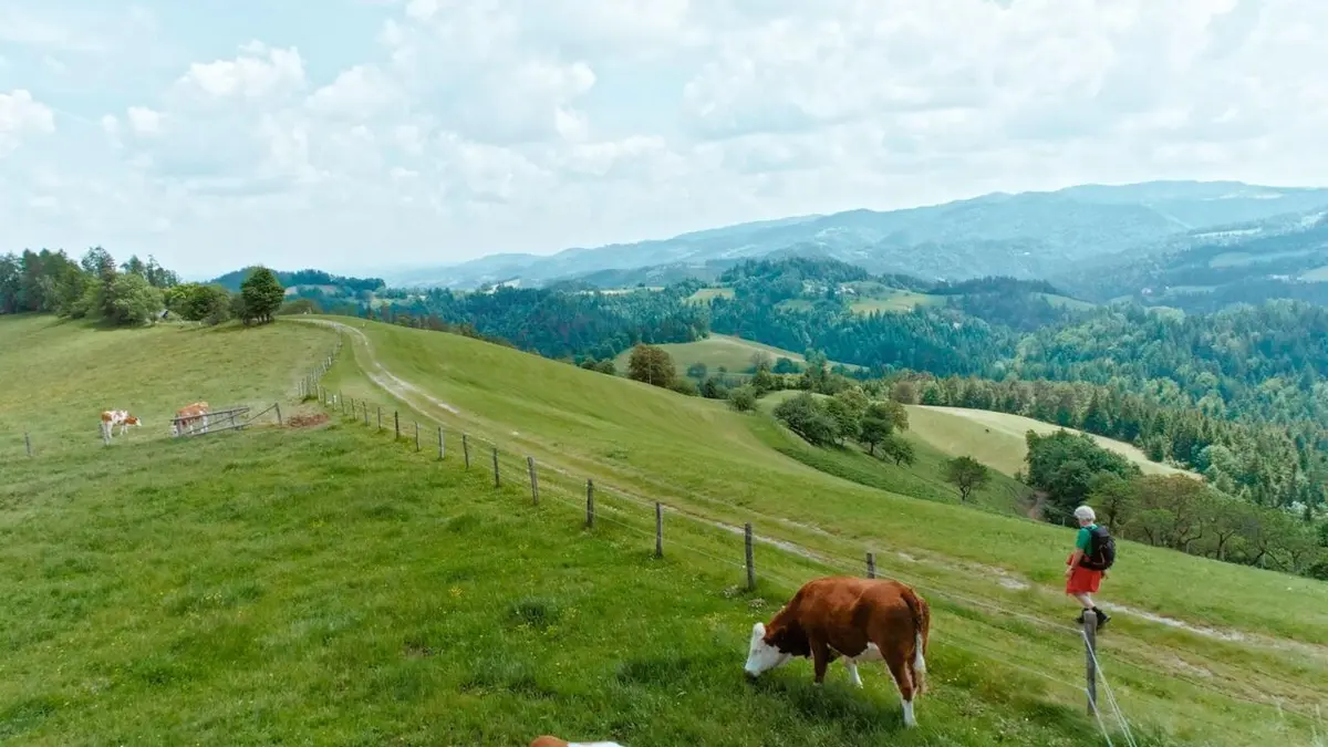 Chemins de traverse Entre l'Autriche et la Slovénie