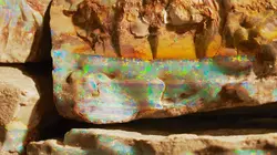 Chercheurs d'opale Retour en force