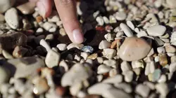 Chercheurs d'opale Prêts à en découdre