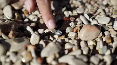 Prêts à en découdre