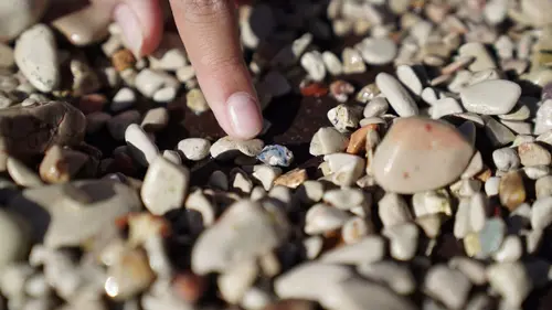 Chercheurs d'opale Prêts à en découdre