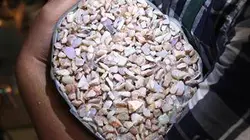 Chercheurs d'opale S02E13 La dernière chance