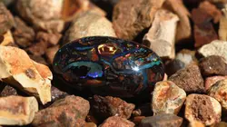 Chercheurs d'opale La reine des opales