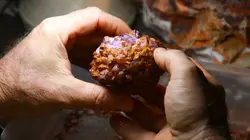 Chercheurs d'opale S05E09 Mise à l'épreuve