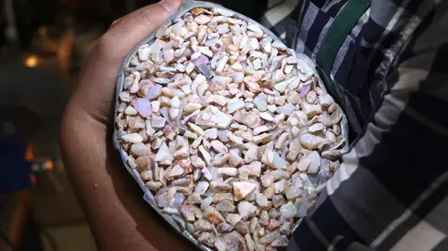 Chercheurs d'opale La dernière chance