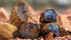 Chercheurs d'opale En quête de preuves