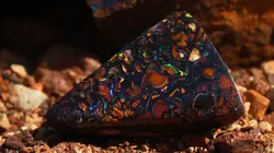 Chercheurs d'opale Retour à l'âge de pierre