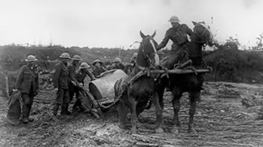Cheval de guerre, une histoire française