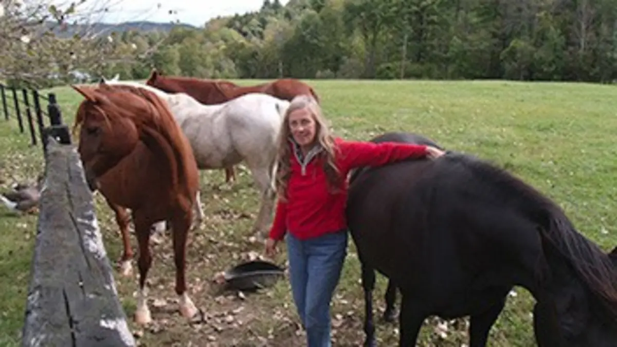 Chevaux de prestige E02 L'écurie des Rockefeller
