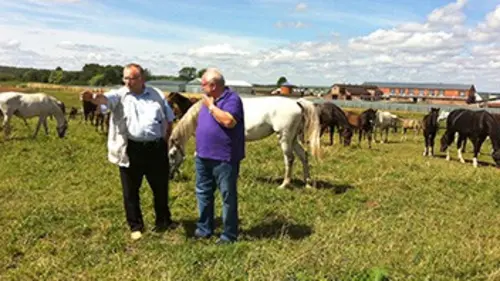 Chevaux de prestige E04 Les écuries des oligarques