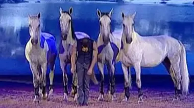 Chevaux libres à l'affiche