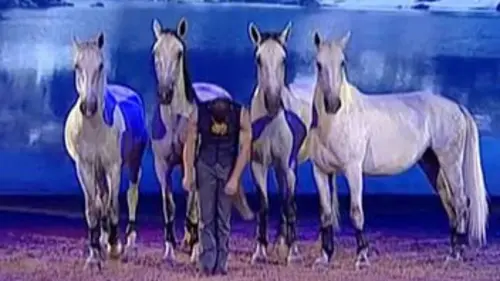 Chevaux libres à l'affiche