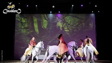 Chevaux libres en spectacle