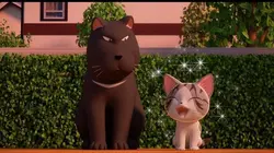 Chi mon chaton S01E45 Se souvenir des leçons