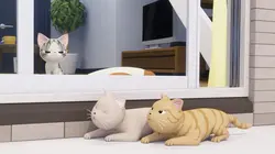Chi mon chaton S02E20 Chi, Bubulle et les chat-pardeurs