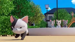 Chi mon chaton S02E13 Minou prend une grande décision