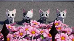 Sur Piwi+ à 18h00 : Chi mon chaton
