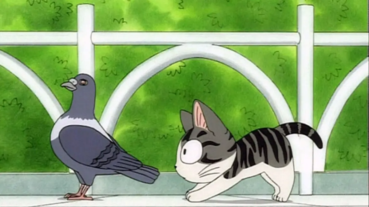 Chi, une vie de chat S01E49 Chi se rend utile