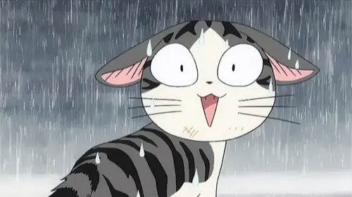 Chi, une vie de chat S01E20 Chi joue à cache-cache