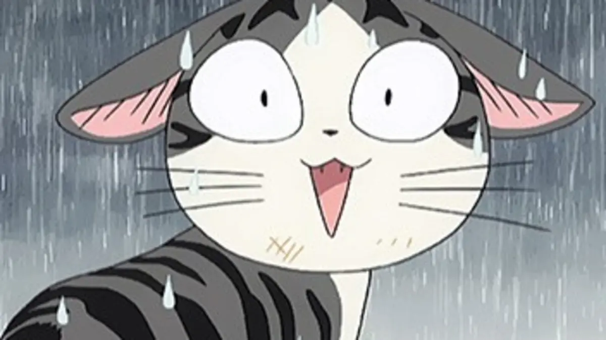 Chi, une vie de chat E82 Chi échoue