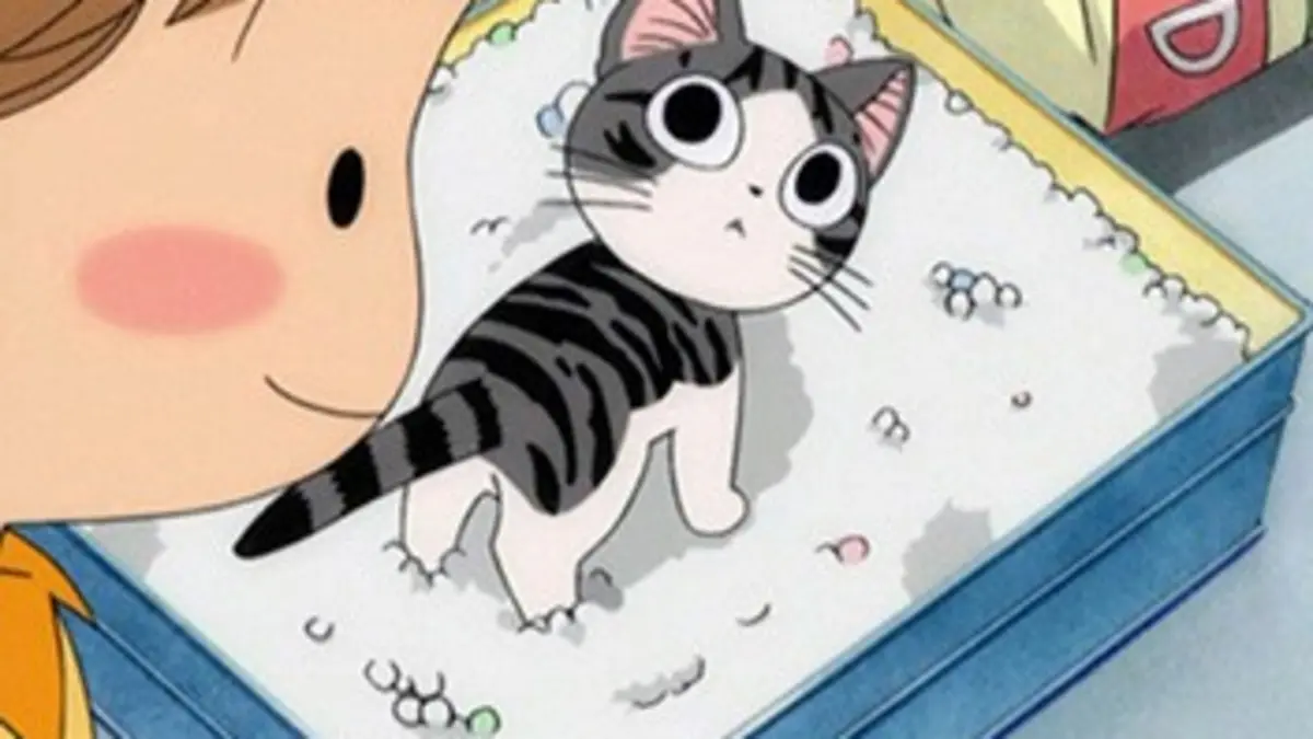 Chi, une vie de chat Chi est cachée