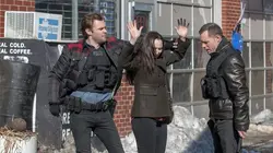 Chicago Police Department  S01E13 Incorrigible pulpo