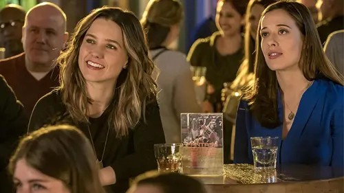 Chicago Police Department S04E12 Demande d'asile en streaming