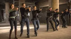 Chicago Police Department S01E09 Un témoin très spécial