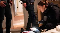 Chicago Police Department S09E19 Le cerveau de l'affaire