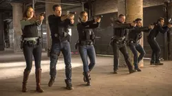 Chicago Police Department S01E09 Un témoin très spécial