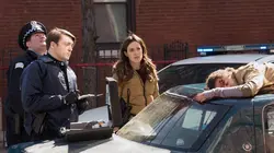 Chicago Police Department S08E13 Le chemin de l'adoption