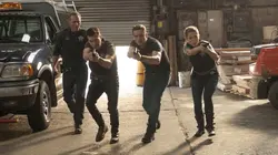 Chicago Police Department S08E13 Le chemin de l'adoption