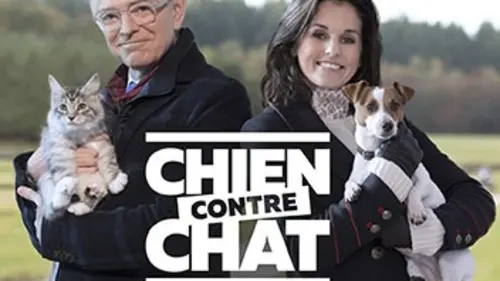 Chien contre chat : qui est le meilleur ?