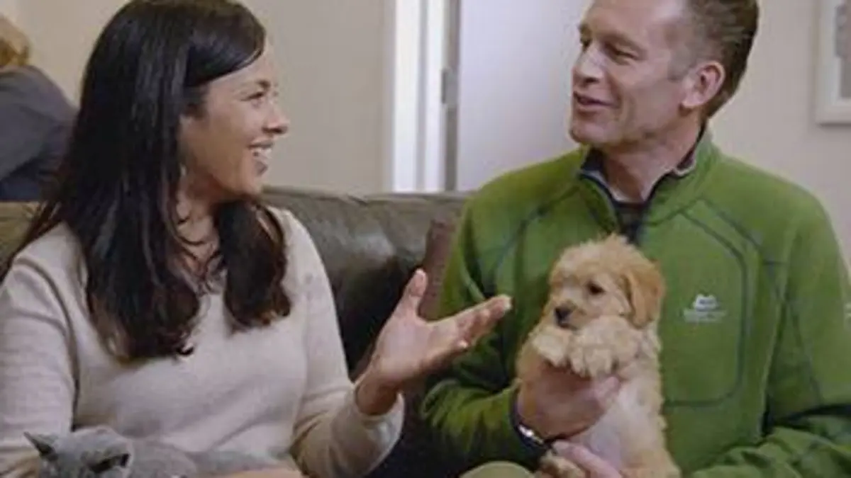 Chien ou chat : quel est le meilleur ?