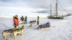 Visuel de Chiens des glaces