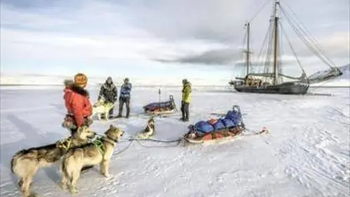 Chiens des glaces