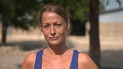 Chiens et chats sans collier Incendie