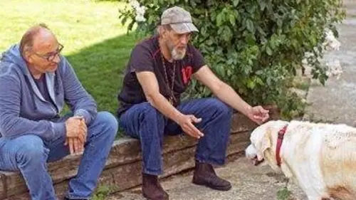 Casting Chiens et chats sans collier E03