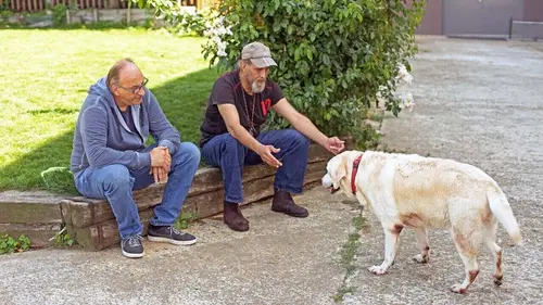 Casting Chiens et chats sans collier E05
