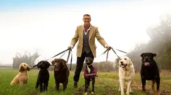 Chiens hors de contrôle : un dresseur à la rescousse Les divas