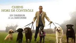 Chiens hors de contrôle : un dresseur à la rescousse