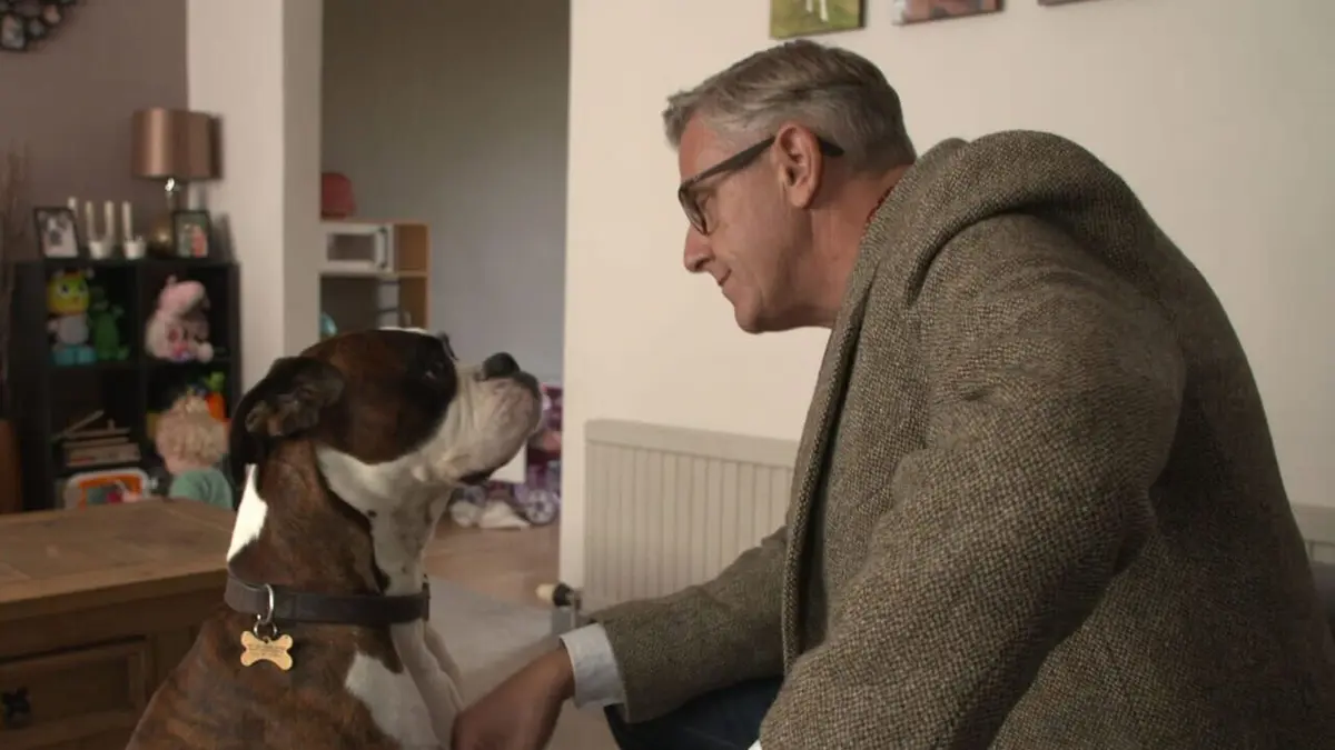 Chiens hors de contrôle : un dresseur à la rescousse Un accueil renversant