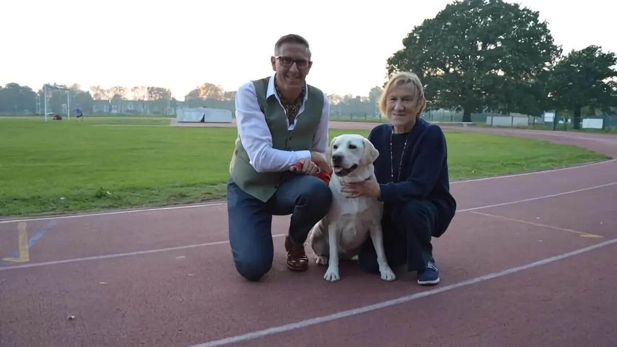 Chiens hors de contrôle : un dresseur à la rescousse Les terreurs