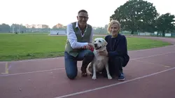 Visuel de Chiens hors de contrôle : un dresseur à la rescousse