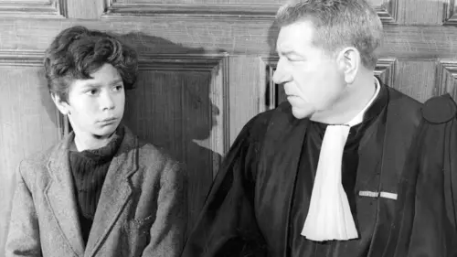 Chiens perdus sans collier en streaming